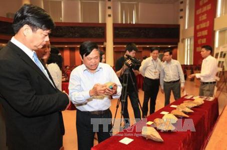 Hallazgos paleolíticos en Vietnam aportan al estudio de la raza humana